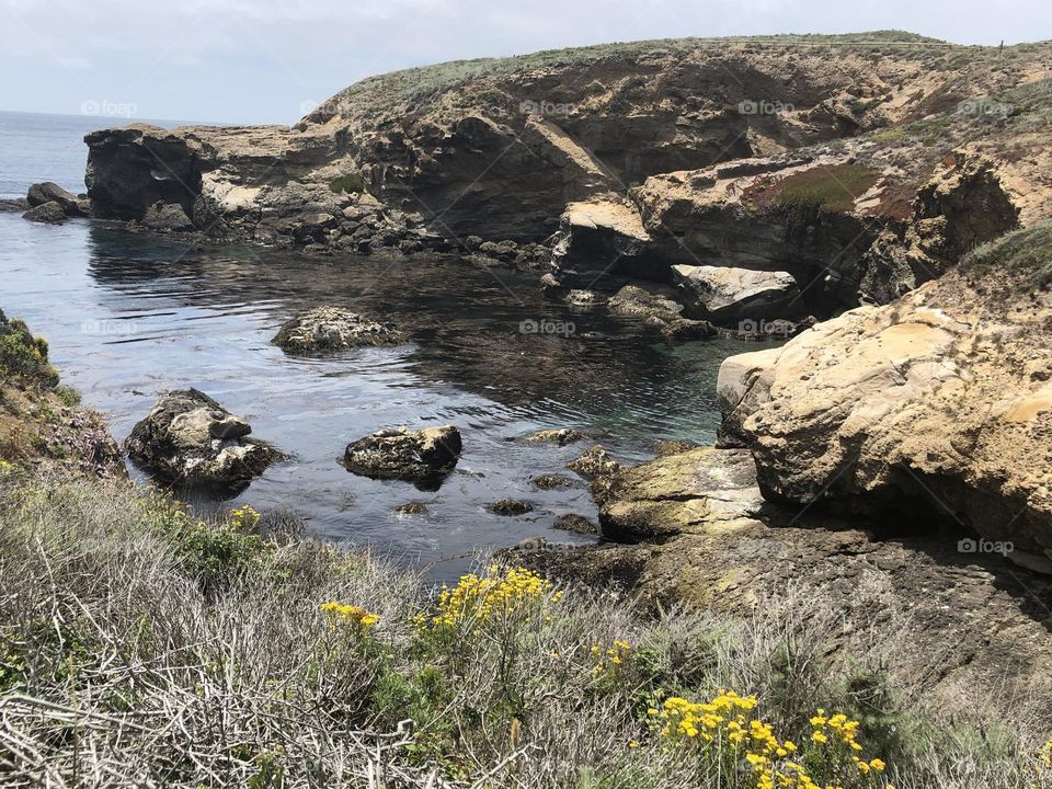 California Coastline at Point Lobos State Park