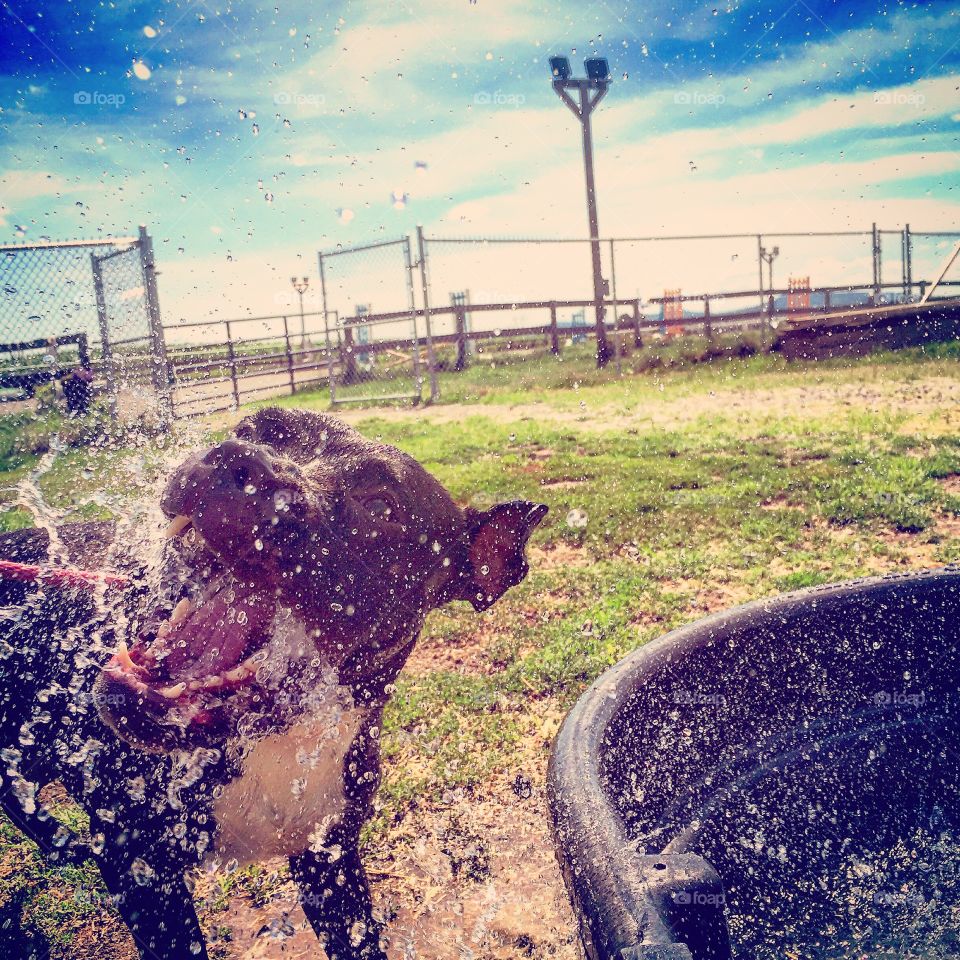 Ahhhhhhhhh!!! Water attack!