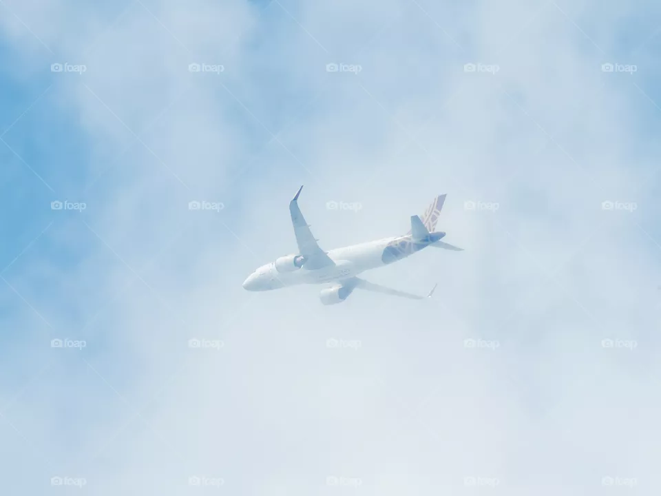 Fly High