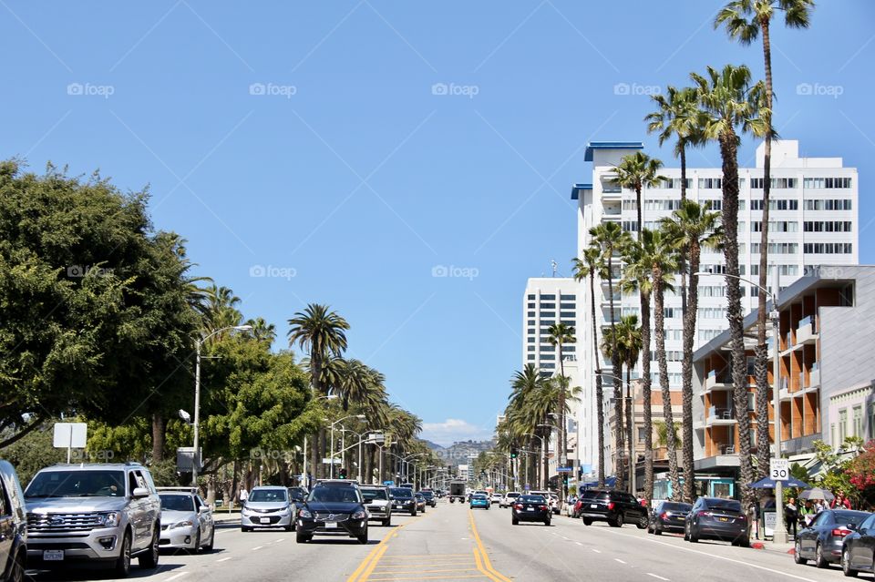 Street with palm trees 