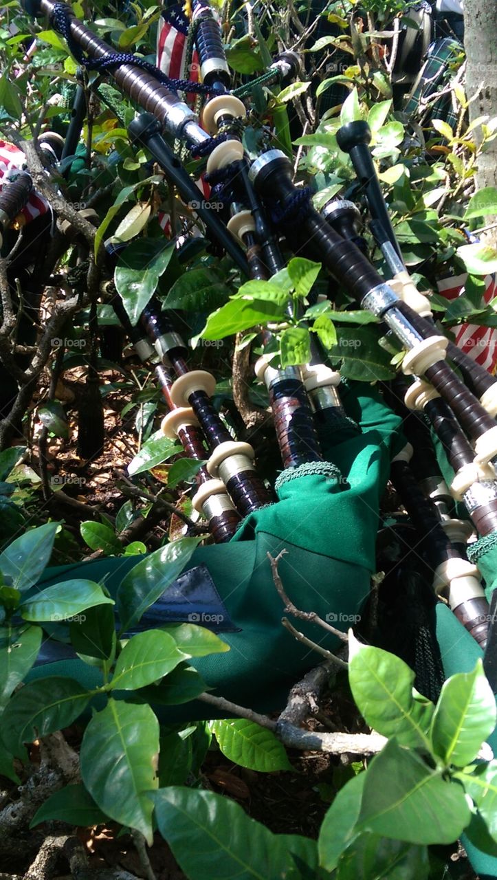 A beautiful sound resting