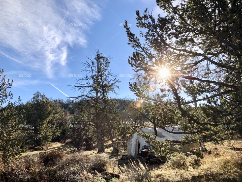 Camping in the mountains of Wyoming on a bright, sunny day