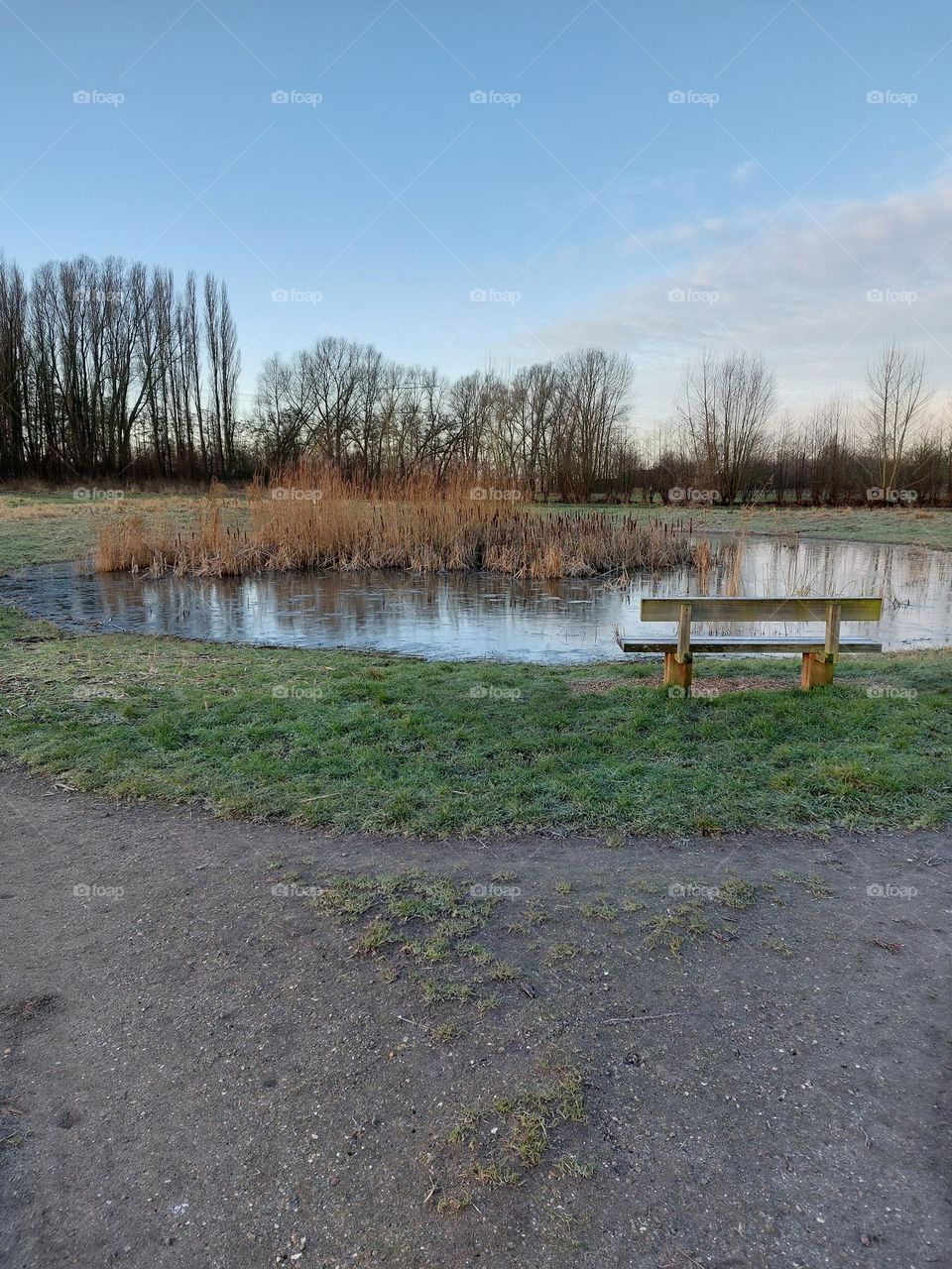 Lonely lake in Dordrecht