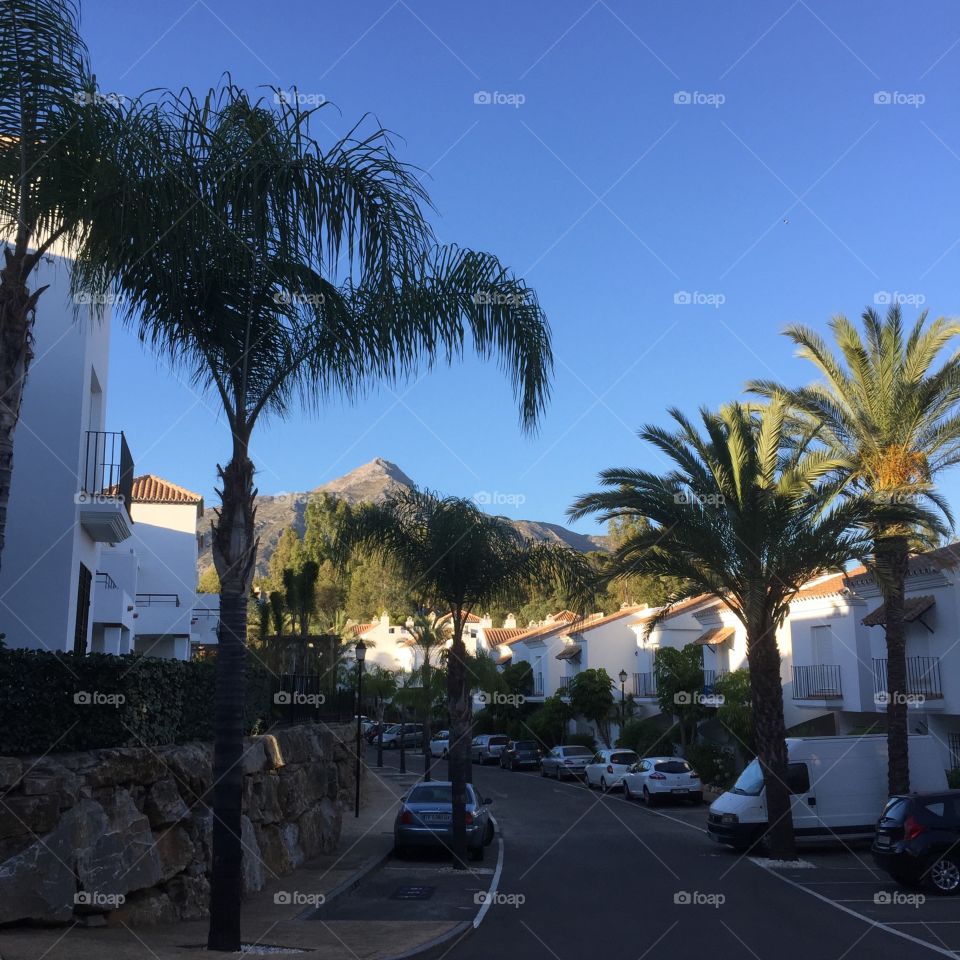 Marbella senorio de Gonzaga