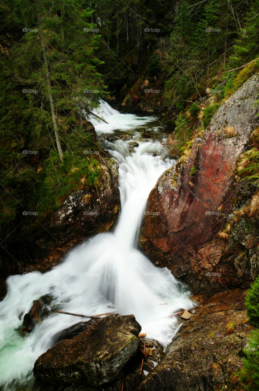 waterfall in mountain forest