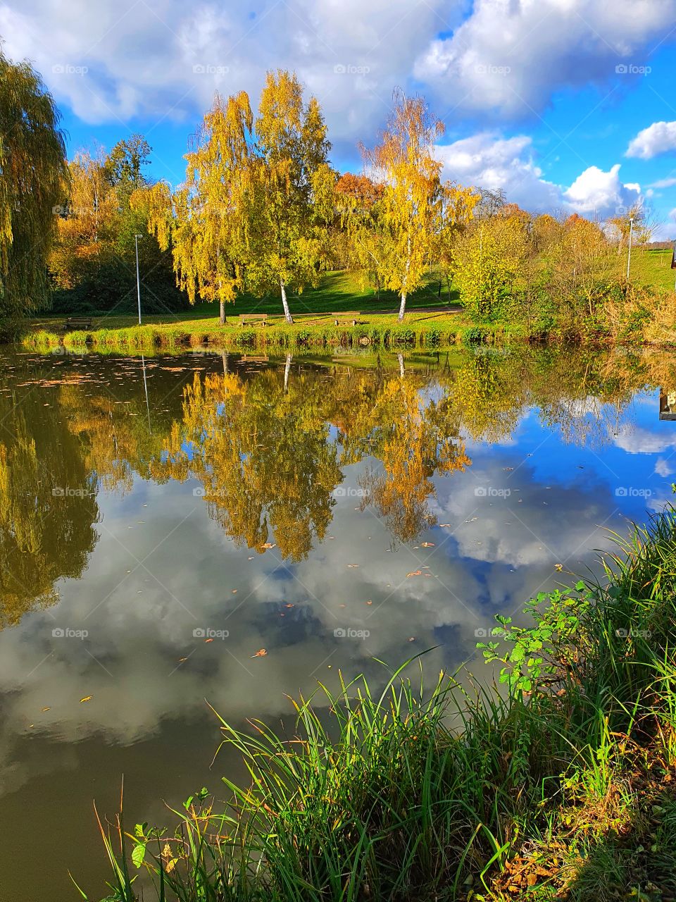 Autumn trees in lake mirror