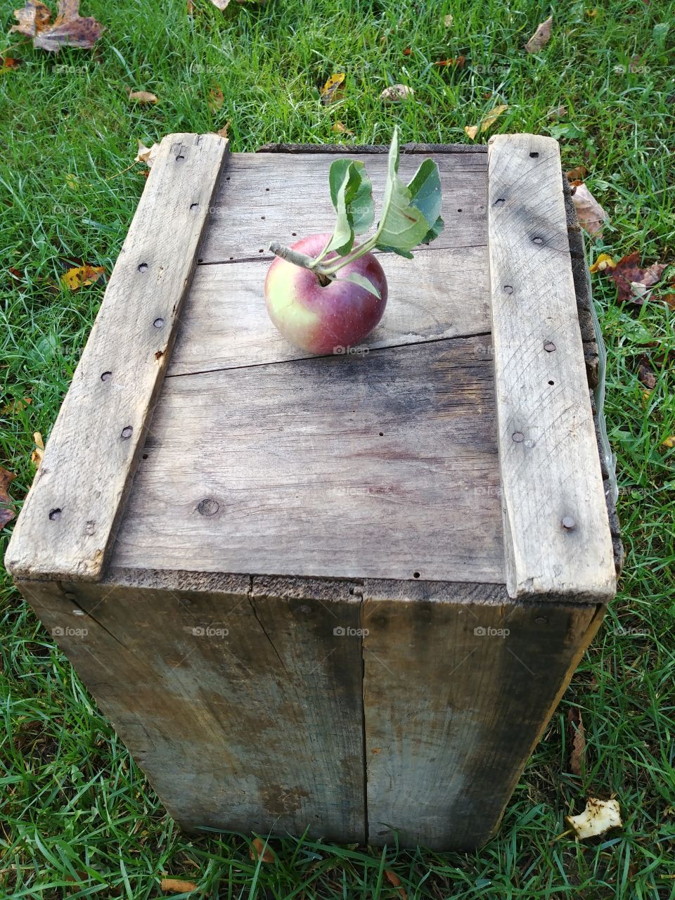 Single Apple on Wooden Crate