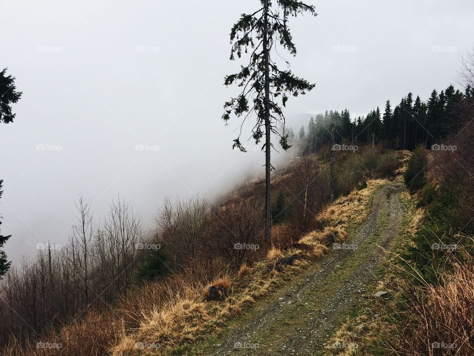 Off-road trip