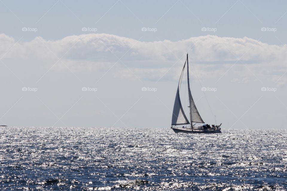 Sailing on the ocean 