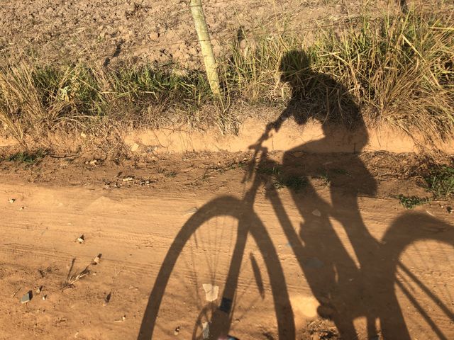 Em movimento.