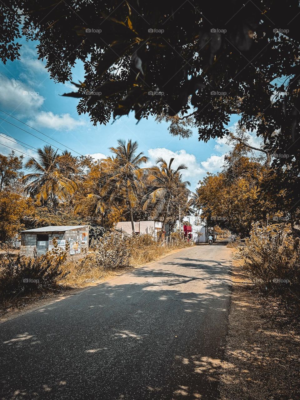 A natural scenery of a country side 