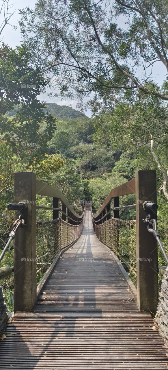 Suspension bridge along the mountain