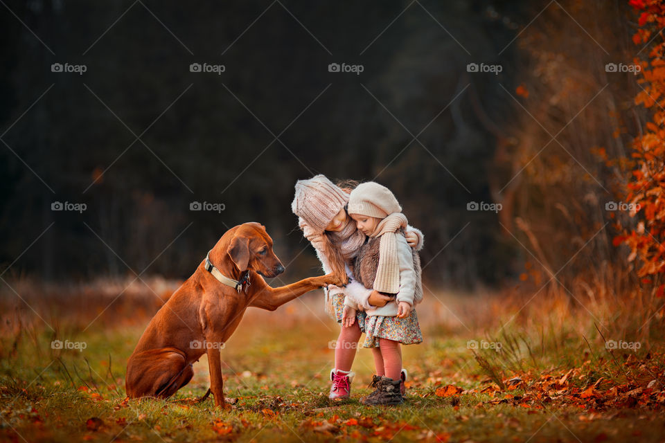 Little sisters with dog in autumn park 