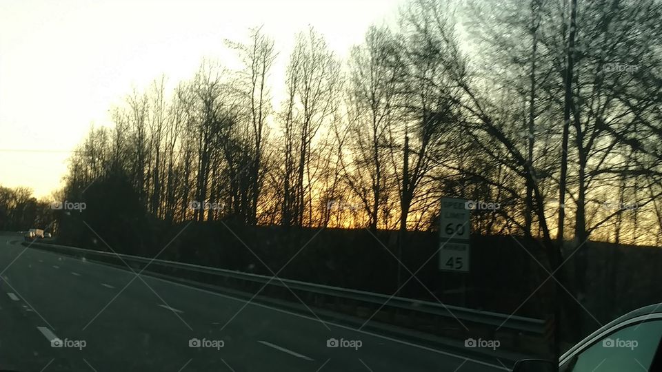 Road, Tree, Street, Landscape, Light