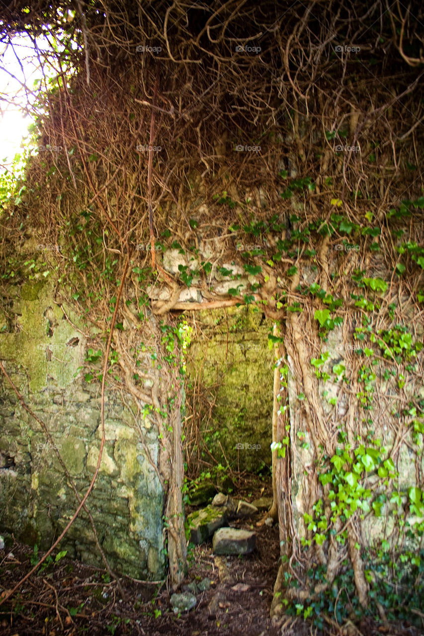 Irish Ruins
