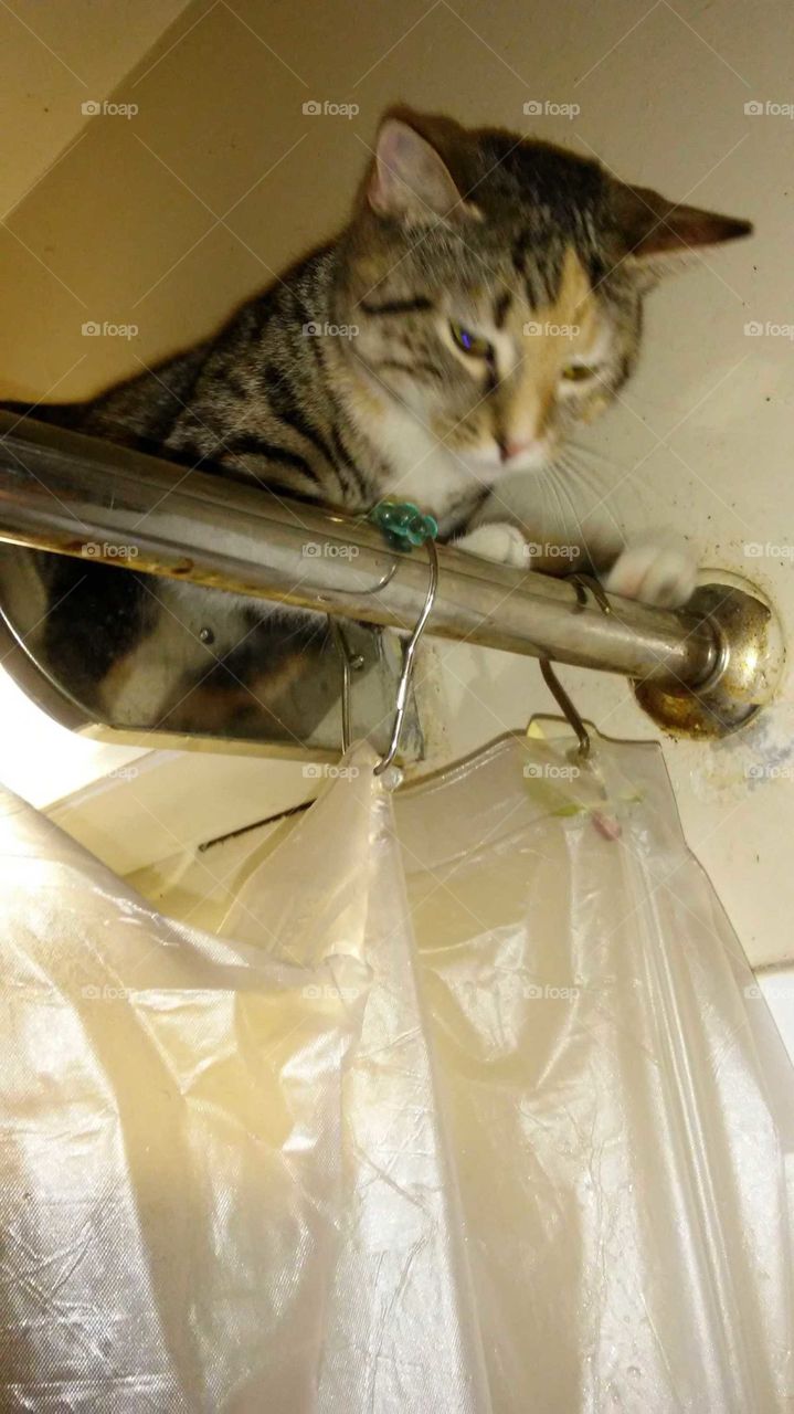 So, that's what soap looks like.