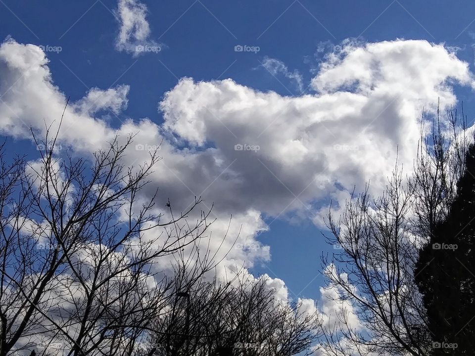 clouds in late winter