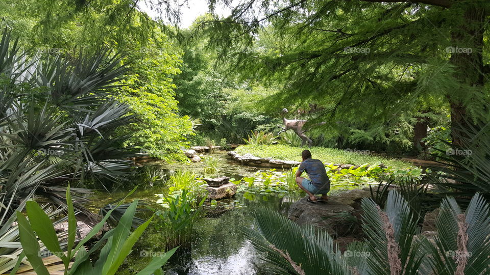 green botanical garden pond