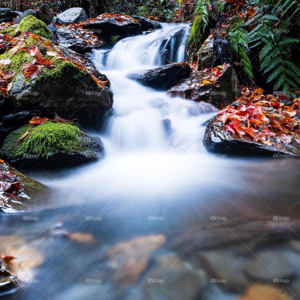 Beautiful water fall natural landscape