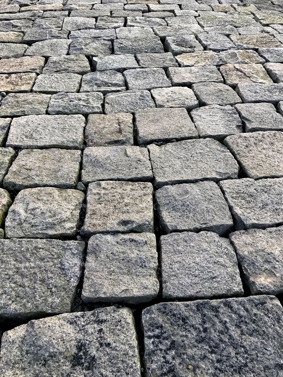 Cut stone blocks line a sea wall in Scotland