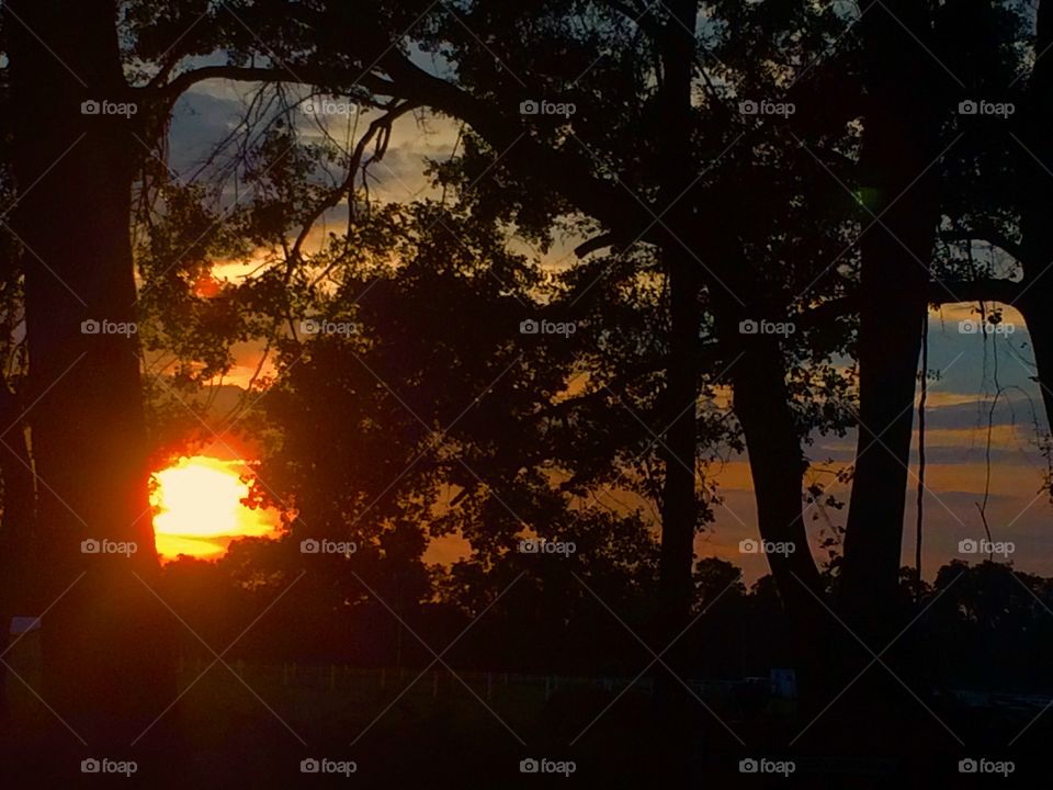 Sunset silhouette 