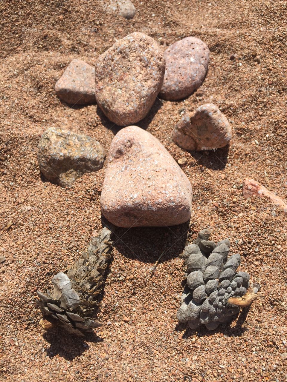 Hey! My name is rocky ! How are you ?