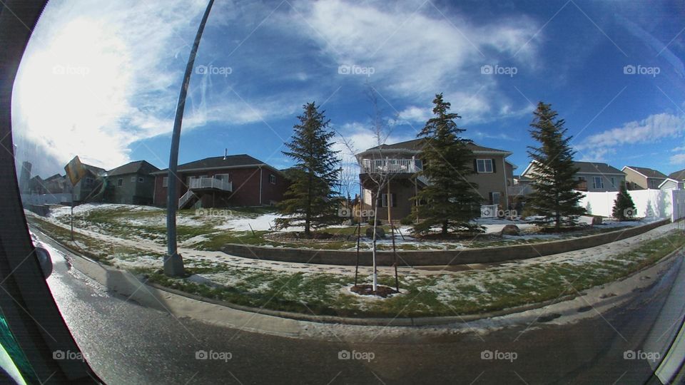 No Person, House, Building, Tree, Architecture