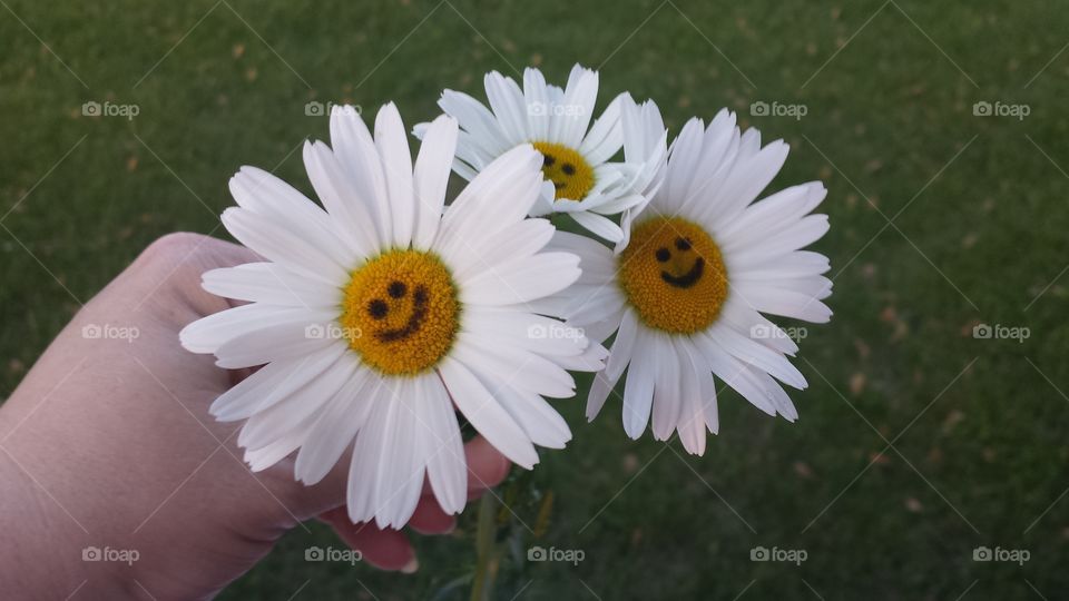 Daisies with a smile.. My friend put smiley faces on daisies she picked for
 me.