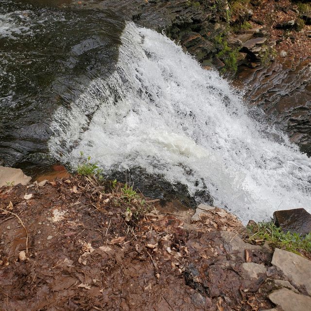 hiking at Ricketts glen
