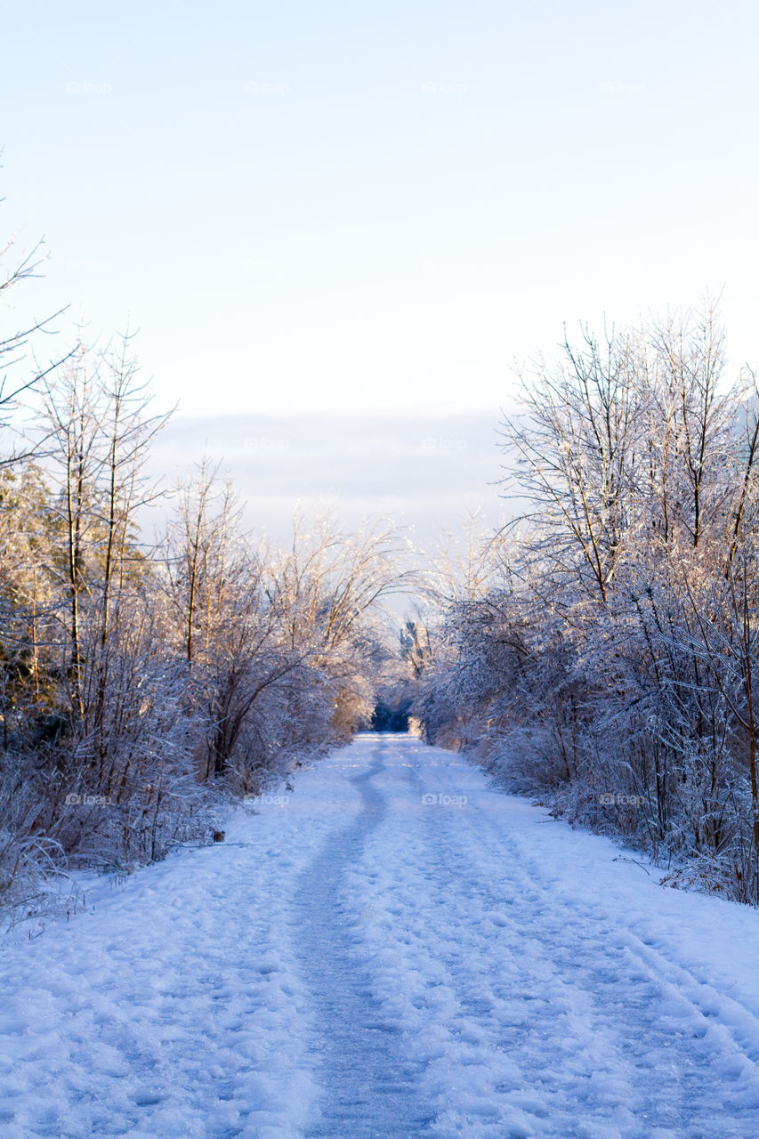 A walking trail covered in ice and snow