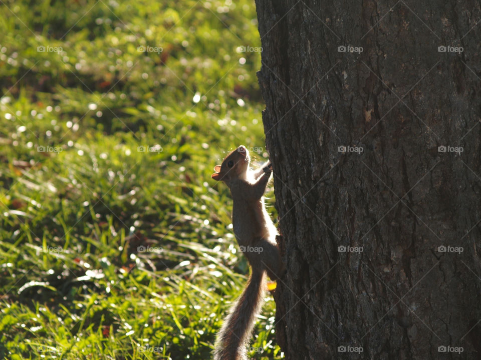 Cautiously catching rays.