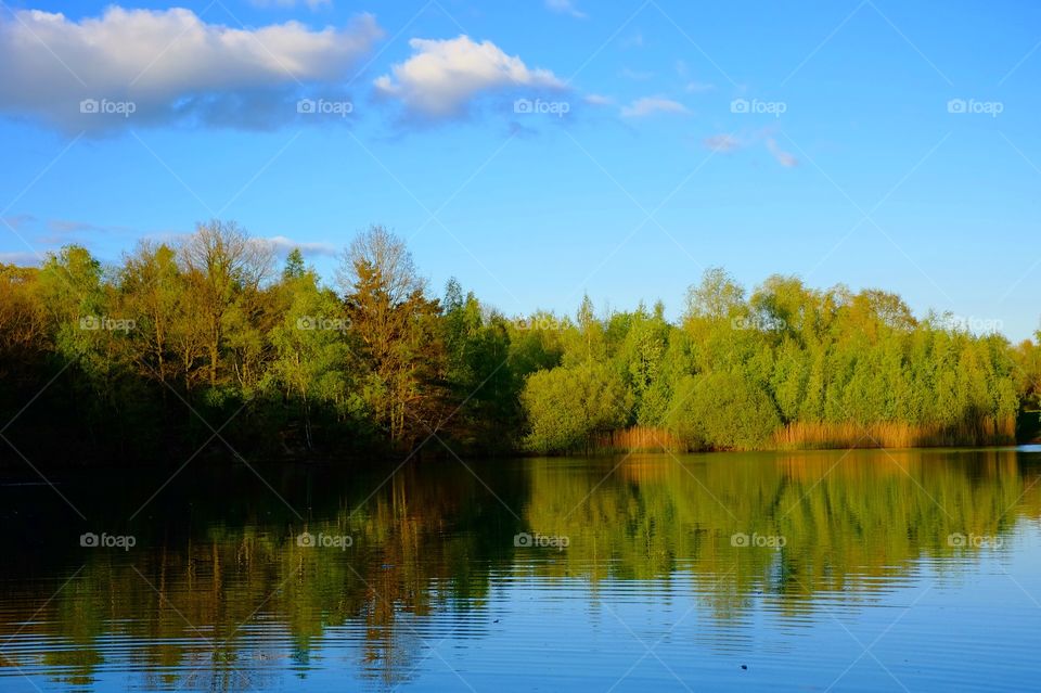 Lakeside reflections 