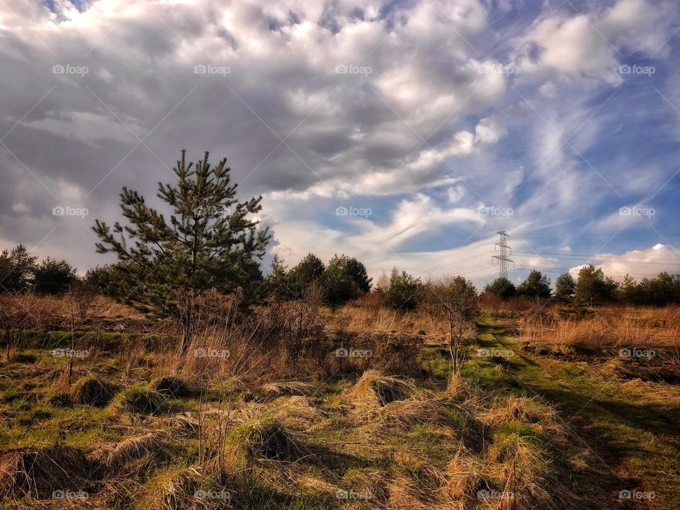 cloudy day in country