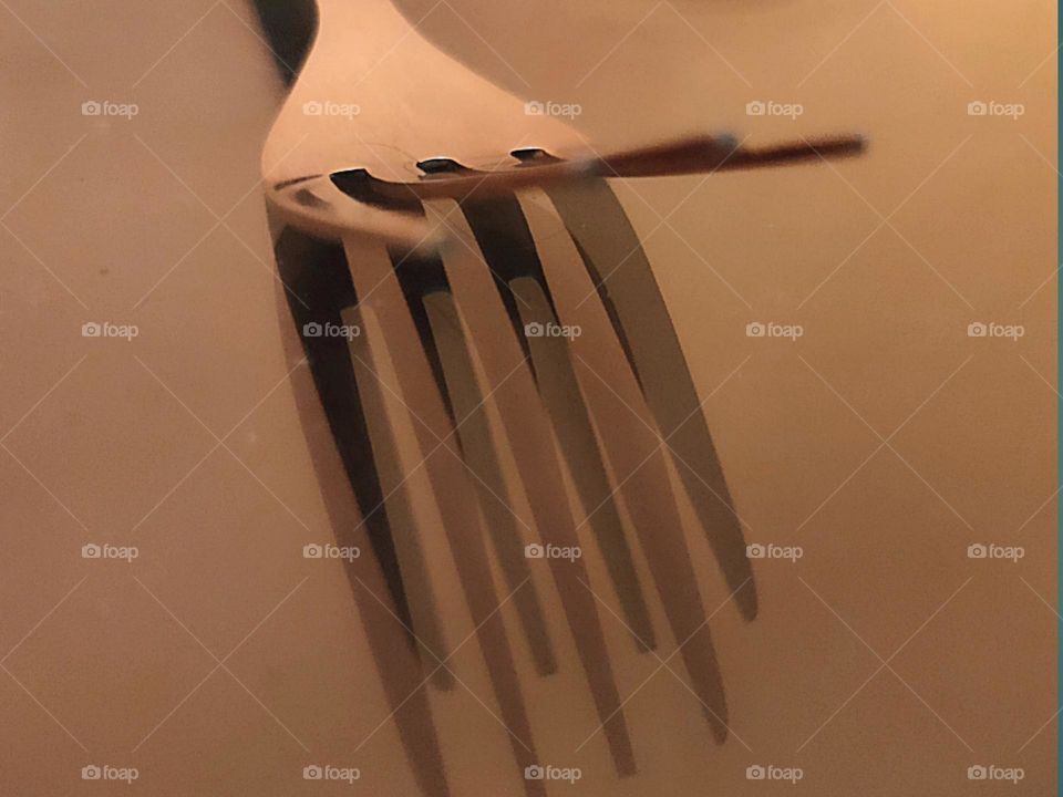 Fork || Shadow of Fork || Extra ordinary Picture for Fork