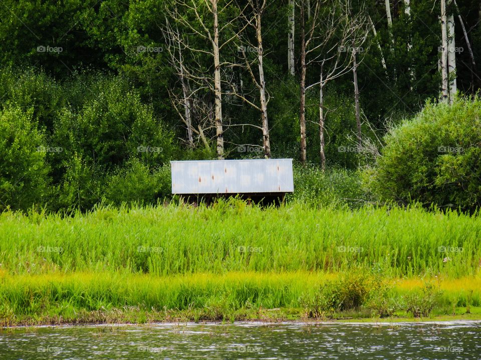 Isolated cabin in the woods