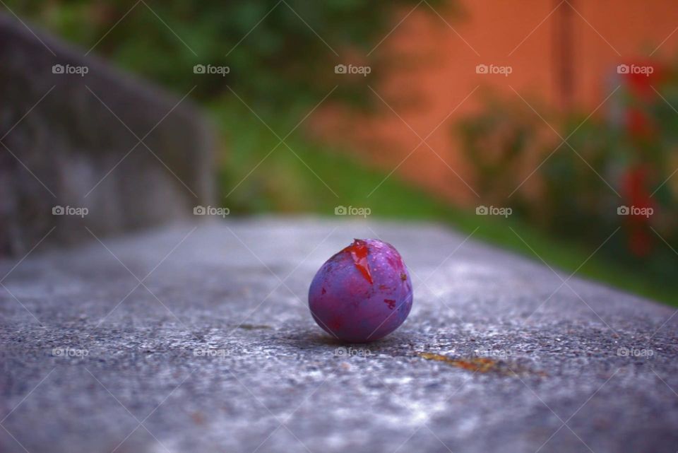 The focus is on this healthy plum,just like how we should try and have our focus on a healthy diet.