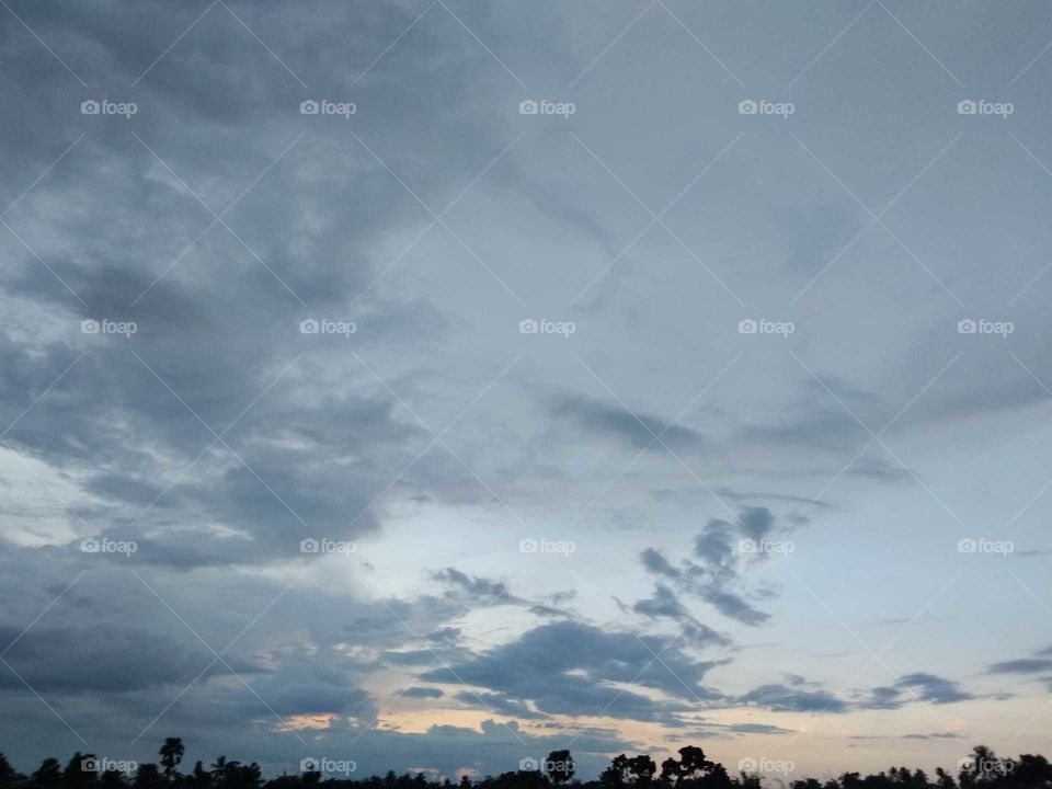 beautiful nature in rural