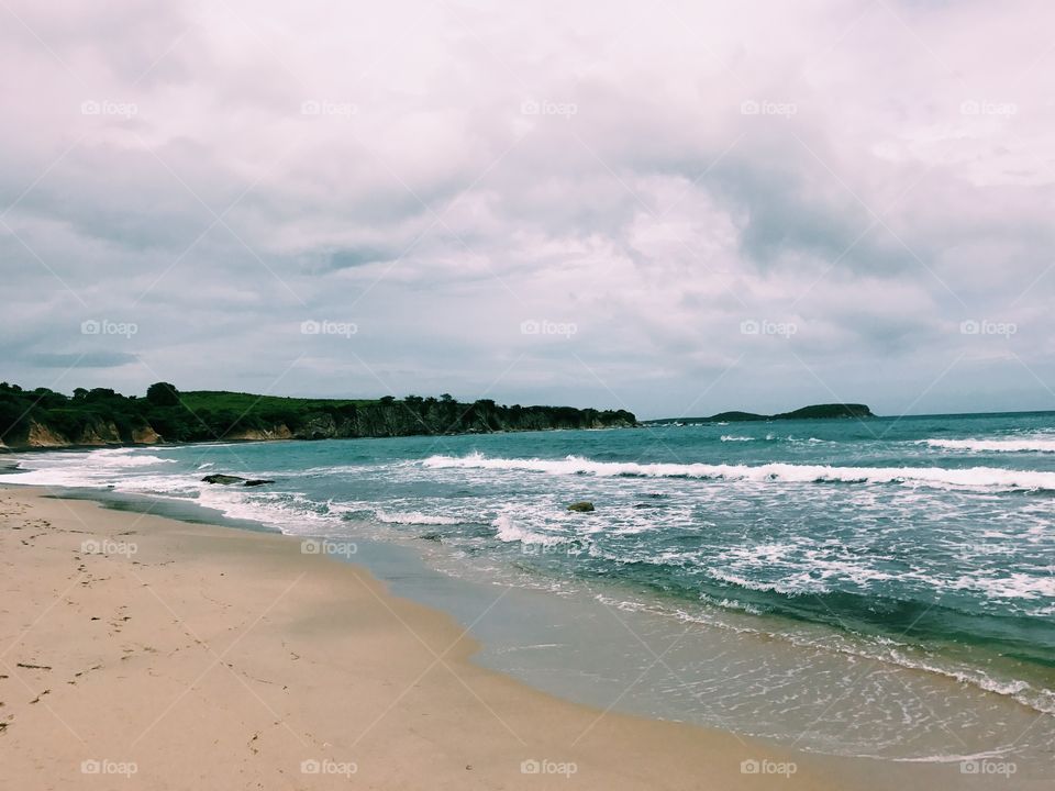 Beach in Vieques, Puerto Rico
