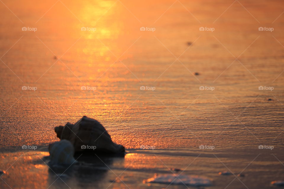 wet sand on the beach