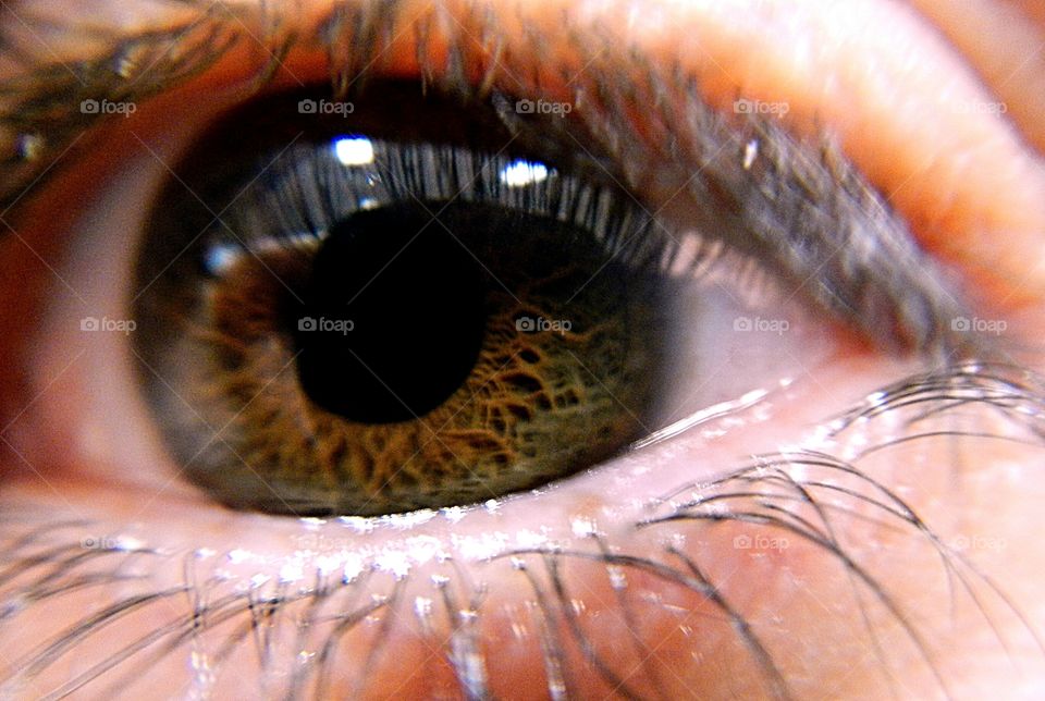 close-up of human eye with details of light brown iris