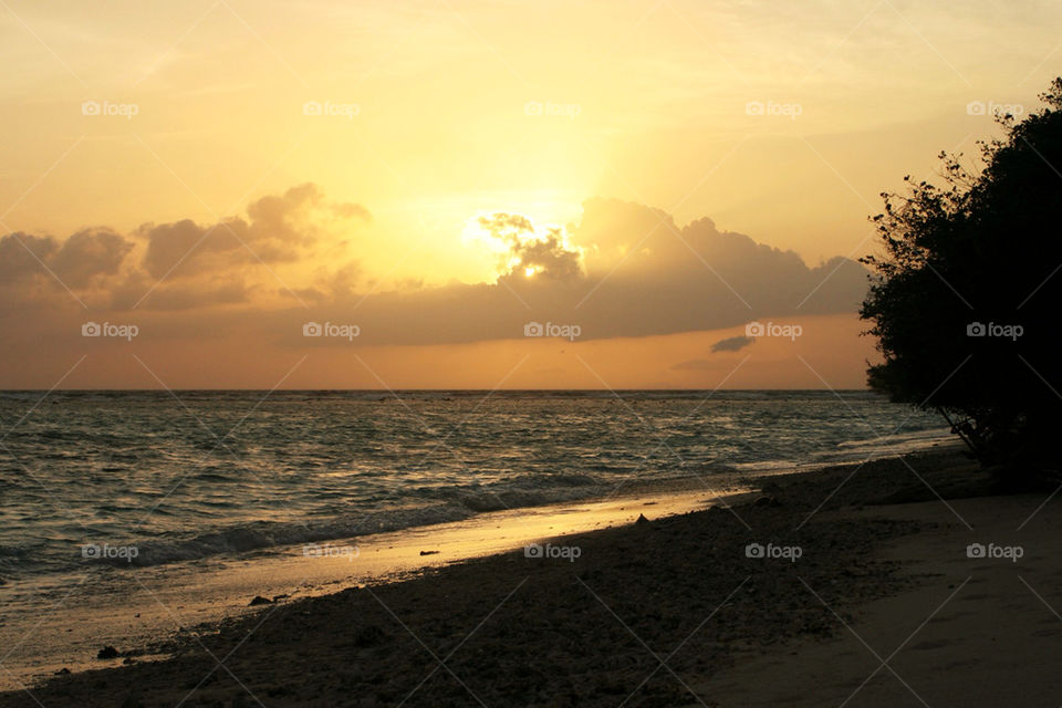 beach ocean tree sunset by chrille_b