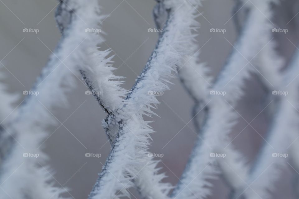 Full frame shot of frozen fence