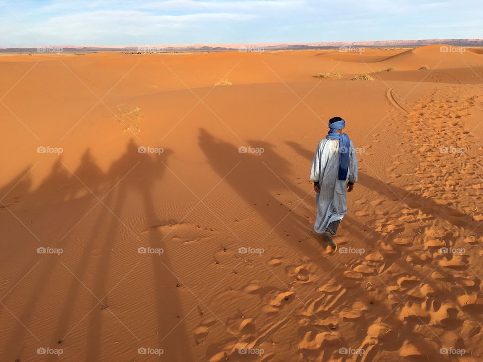 Desert, Sand, Beach, Dune, Landscape