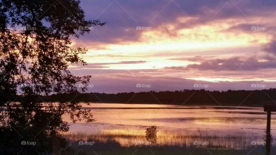 smith lake. lake life