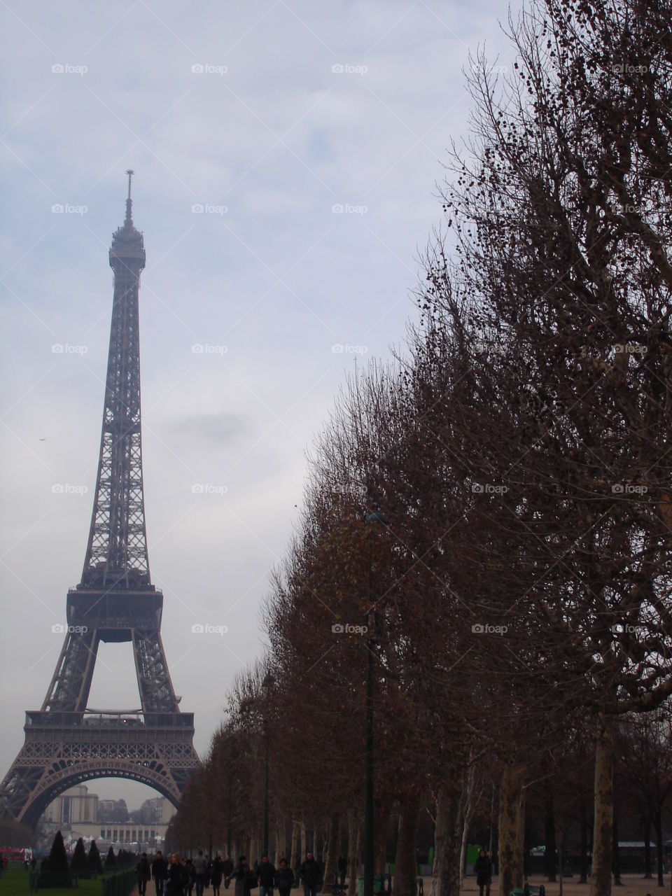 Eiffel Tower in the Winter Time / Torre Eiffel no Inverno