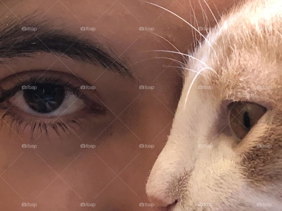 Two eyes : human eye and animal eye