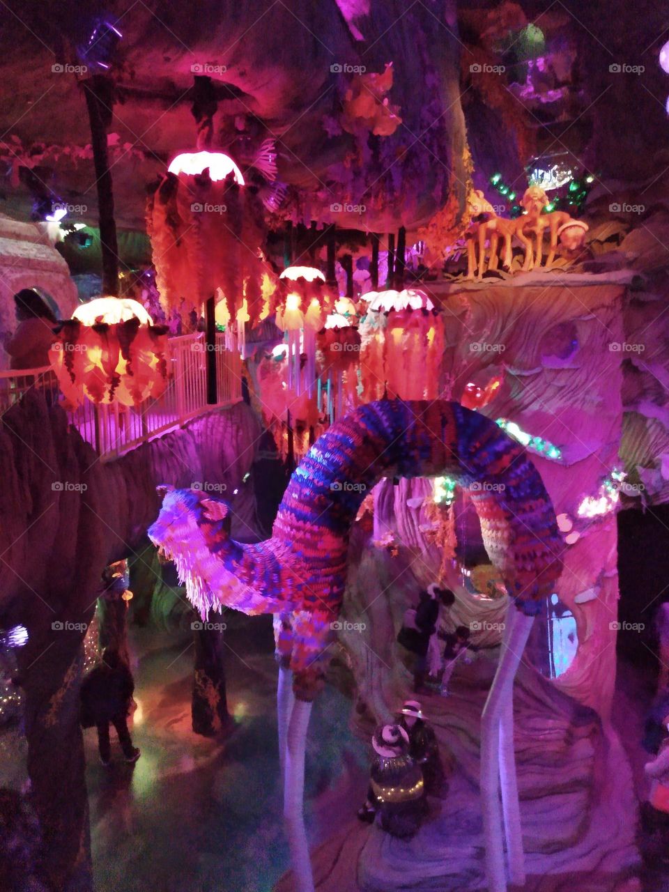 Meow wolf