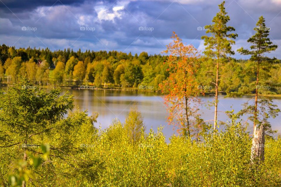 Lake in south of sweden