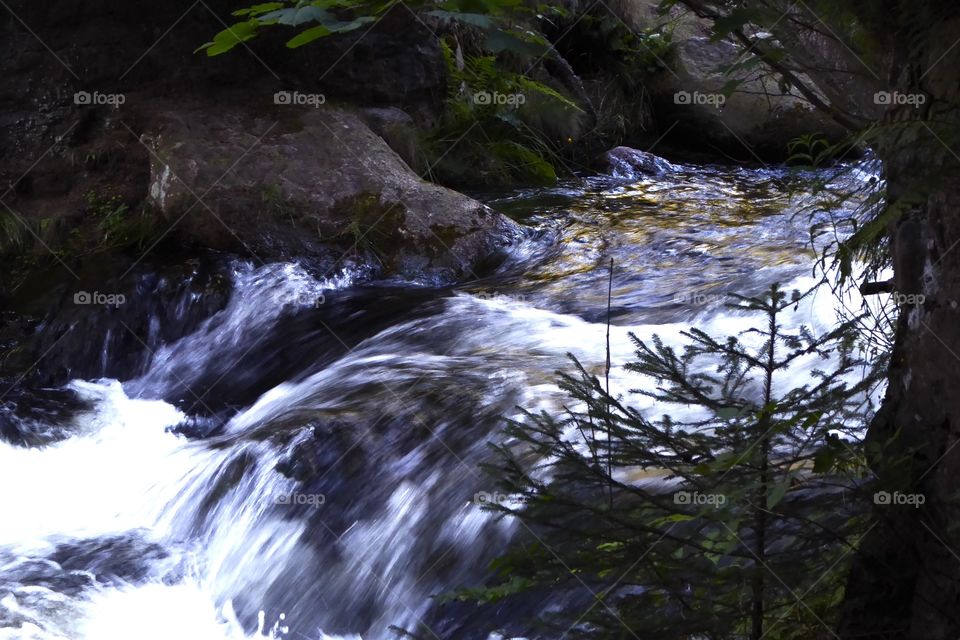 Waterfall national park Harz Germany 