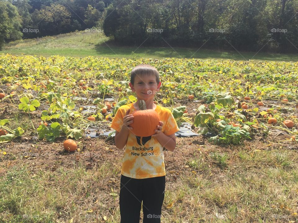 Picking out the pumpkin. . My grandson carrying out the yearly family tradition 